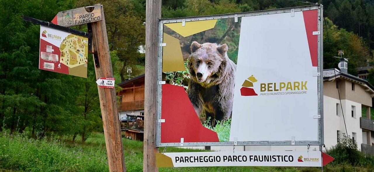 Appartamento Casanova Andalo Zewnętrze zdjęcie